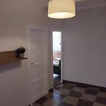 Amplio Piso En Casa Historica En Primera Planta Sabiñánigo